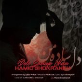 دانلود آهنگ حمید شکرانه دل ساده ی من
